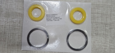 Imagem de Kit de vedação ; p/válvula esfera ; Micromazza ;